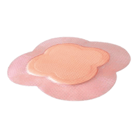 Allevyn Life Sacrum Dressings Silicone Gel Adhesive featured image