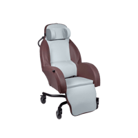 Integra Shell Chair 20 Inch featured image
