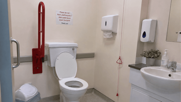 Handrail in a care home bathroom