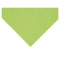 Fiesta Recyclable Lunch Napkin - Kiwi featured image