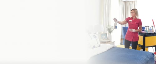 pure-v-banner-highres