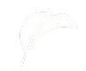 feather